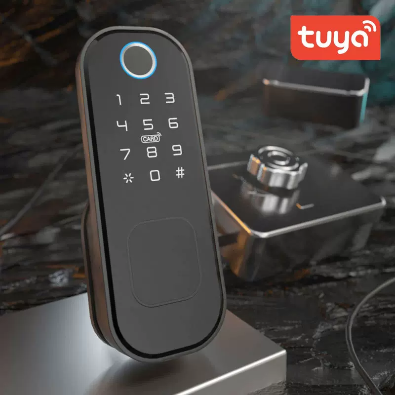 牛头锁电子锁免布线公寓铁门刷卡涂鸦外装指纹锁TT防盗门锁庭院锁