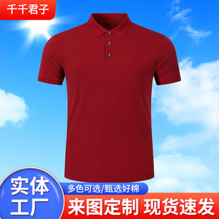 QQJZ2293#������H����POLO����Ů���I���������b�����\�Ӹ߶�POL