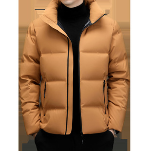 Winter new stand collar short solid color down jacket young and middle-aged men's white duck down warm down jacket windproof jacket
