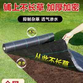 防草布除草布加厚耐用果园果树抑草遮草布农用园艺防草布