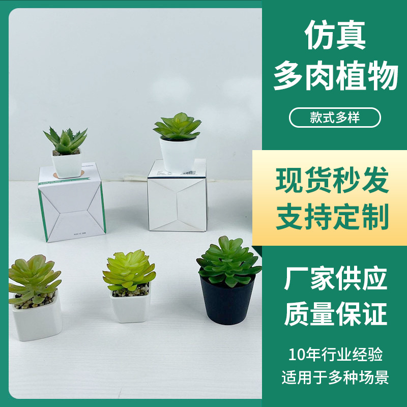 Plantas suculentas artificiales pequeñas en maceta, mini combinaciones de macetas con plantas suculentas simuladas, decoración de escritorio, pequeños adornos de flores simuladas