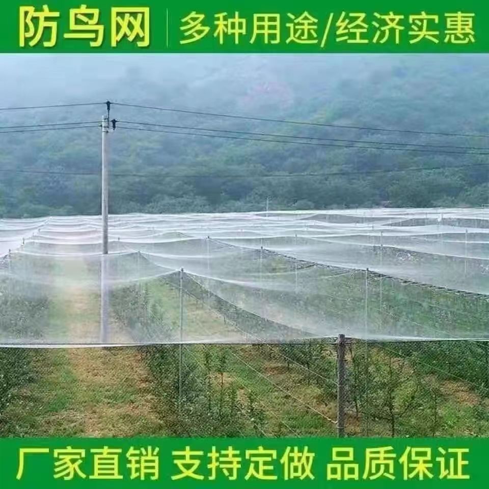 4f7b22e8f976db584e7c0c92191c9a