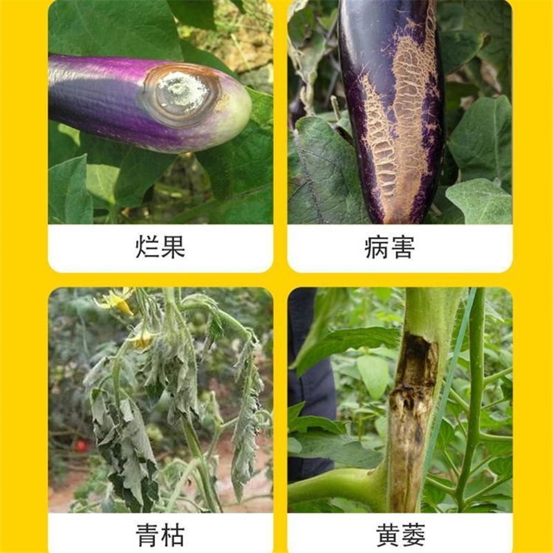 ナス病原体複合微生物剤小包装ナストマト唐辛子野菜専用肥料葉面肥料|undefined