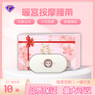 New Space Capsule Warm Palace Belt for Girls during Menstrual Massager for Aunts with Stomach Pain, Hot Compress, Waist Protection, Palace Warmer Belt
