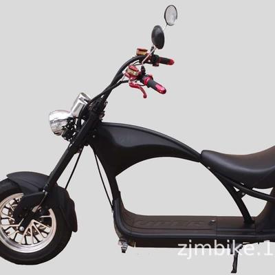 Elektrikli motosikletlər double lithium battery scooter