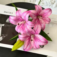 ӹƿ31ٰٺϷ滨ҾbPUٺϱbcQٻ