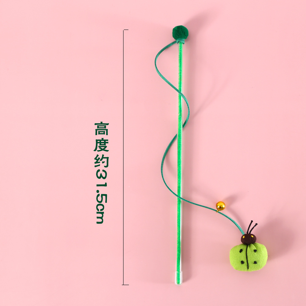 尺寸展示