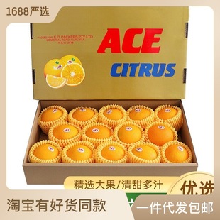 Австралия импортированный туз пупок апельсин Big Fruit Australia Fresh Juice Orange Orange Origin Box 8-9 Catties Gift Box SF