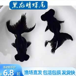 ��������~��β���~���\���^�����~�ڽ��~���B�ͻ�С����ˮ�^�p�~