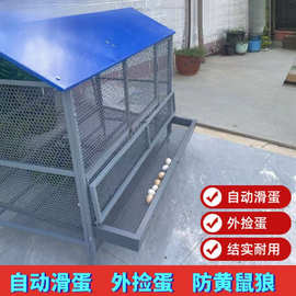 养殖笼鸡鸭鹅笼遮雨棚防黄鼠狼蛇加密加厚鸡笼棚养鸡笼子家用