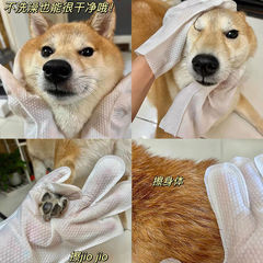 寵物免洗手套狗狗洗澡除臭一次性貓咪清潔乾洗寵物用品6片裝濕巾