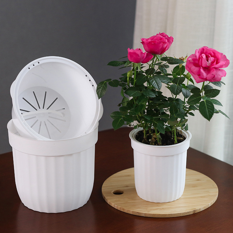 Mei Xuan automatic water uptake Flower pot Hydroponics resin Plastic white Simplicity Scindapsus Spider plant pots Manufactor wholesale