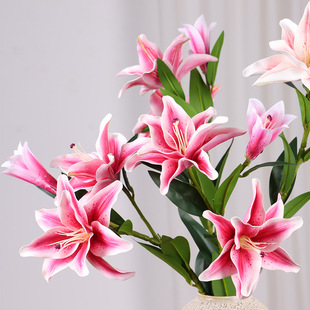 ���滨�ذ����^ؐ���ٺ��҃ȼҾӲ�߅�����ðٺϼٻ��b��^�ٺ�