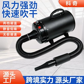宠物吹水机