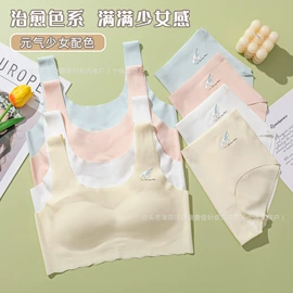 女士三角裤;少女文胸;女士丁字裤