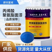 脂肪族聚氨酯面漆桥梁钢结构防护丙烯酸聚氨酯防腐涂料桥梁专用