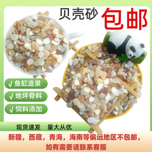 ����ؐ��ɰ������ӃȠ��T��ؐ�����~���쾰ؐ��Ƭ��ʯ�����b�