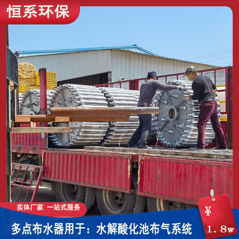 多点布水器工业废水处理不锈钢点对点布水器布水均匀厌氧池布水帽