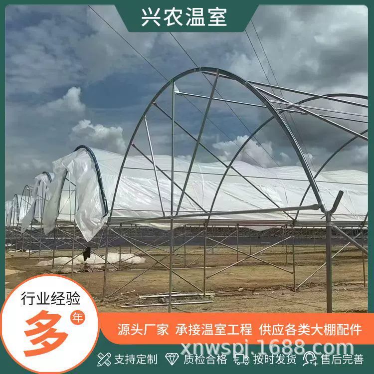农业生态蓝莓避雨棚种植大棚 观光种植 连栋温室保温大棚钢管骨架