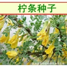 �Q�l�N�� �\�u�� ë�l�N�� ��ȸ���N�� �י��l�N�� �o�·N�� �׷N
