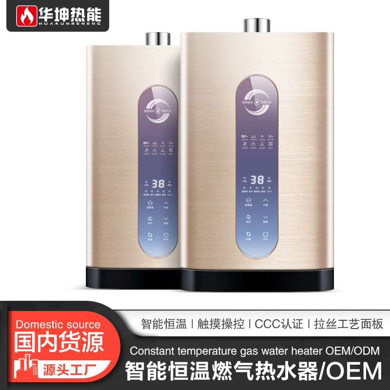 Внутренняя трансграничная внешняя торговля заводской национальный стандарт Американский стандарт газовый водонагреватель природный газ матовый шампанское золото постоянная температура принудительная вытяжка
