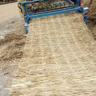 �ݴ��݉|���ӵ��ݺ��Ӻ���ɻ�ݺ������������ݰ���·���ط�������