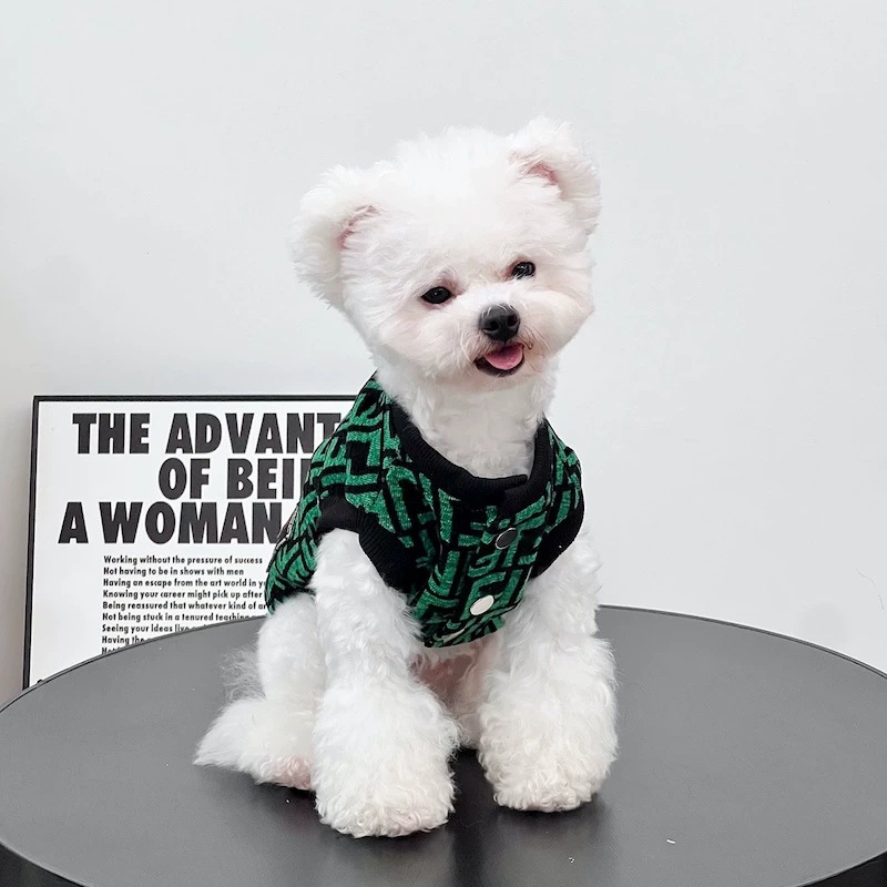 Ropa de mascotas chaleco de perro caliente moda nuevos productos deportivos ocio versátil tendencia Teddy Bear Malzies