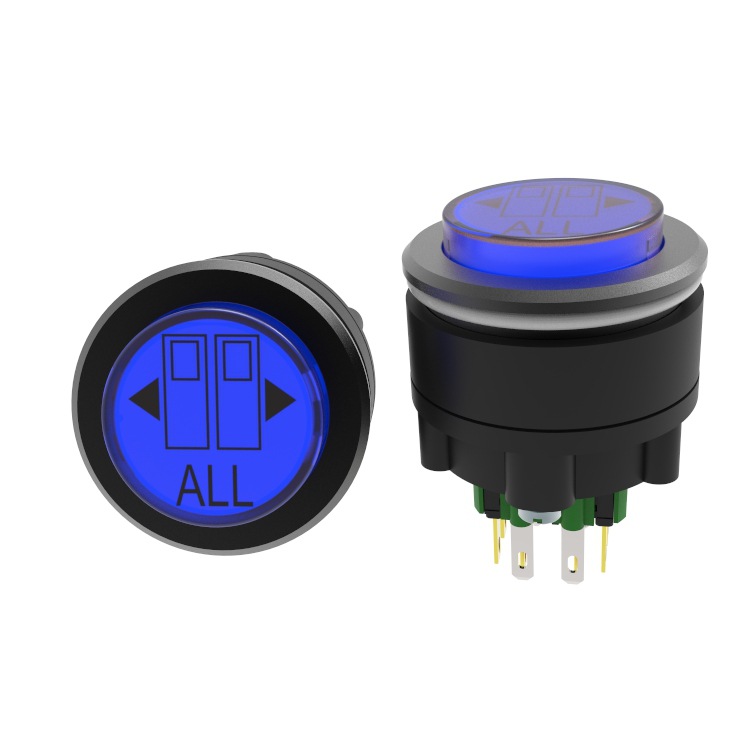 供应D-SWITCH德崧30mm 防呆防震动新能源仪表盘信号灯开关