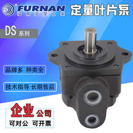 台湾福南叶片泵DS-11/12/13/14-FR/LR低压抽油泵 小型定量液压泵
