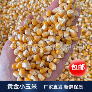�n�� �S����С����50��  ِ�������������B��ϴ�Cι����
