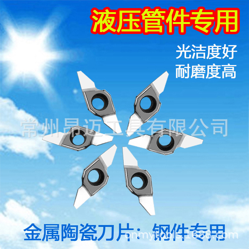 Special Blade for Hydraulic Pipe Fittings, Bearing Steel Parts, Flared Edge, Beveled Edge, Fc1604-24 High-Gloss Wear-Resistant Ceramic Blade