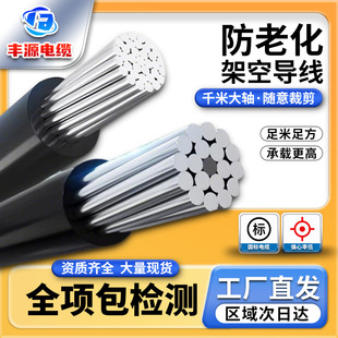 �ܿս^������ JKLYJ 1KV 10KV 35 50 70 95 120���˼ܿս^����|