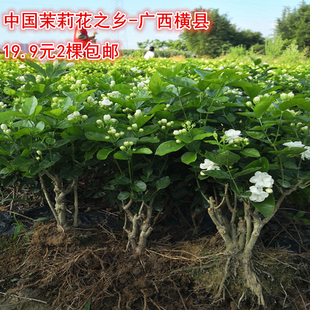 �V���M�h�ذ�����������������辰�ļ��Gֲ�����Ϙ��䘶��ֲ��