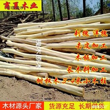 ��ľԭľ�̻�ԭľȥƤ���С��ľ�����������Θ����ľ����̫��