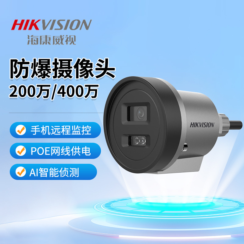 Hikvision Explosion-Proof Surveillance Camera Ds-2Xe3020Wd-Dx Full Color Indoor and Outdoor Original Genuine
