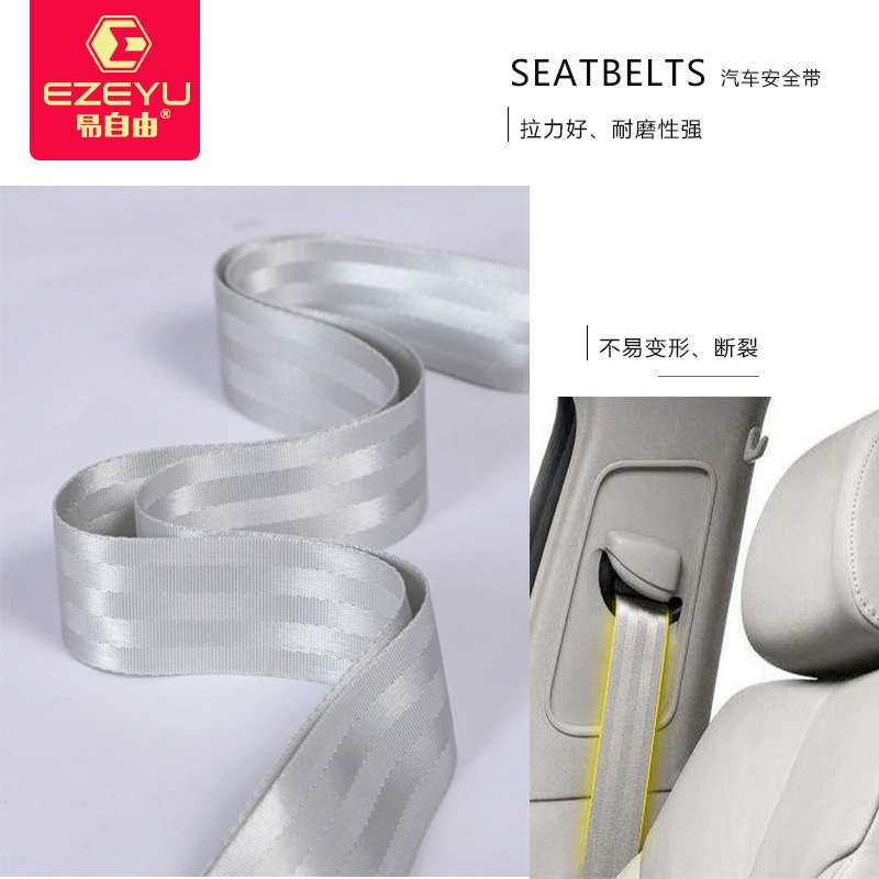 Suitcase, pack, belt, bag accessory