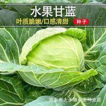 �ļ�ˮ�����{�N�Ӱ��İ��������Ĳ˷N�Ѹ߮aɏ���״����ﲥ�N��