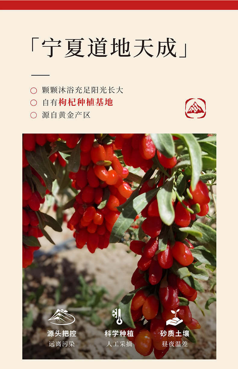Organic Goji Berry Gift Box 18 Jars Premium Ningxia Red Goji Berries 300g quality and texture