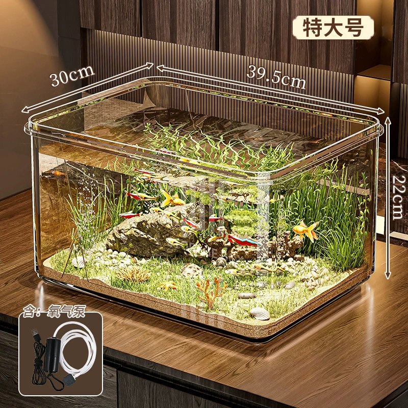Transparent small square acrylic aquarium for office