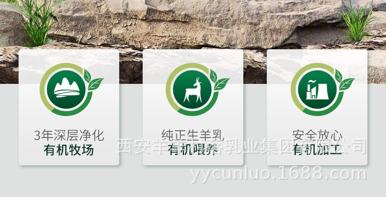 添葆有机羊奶粉详情页800g_02.jpg