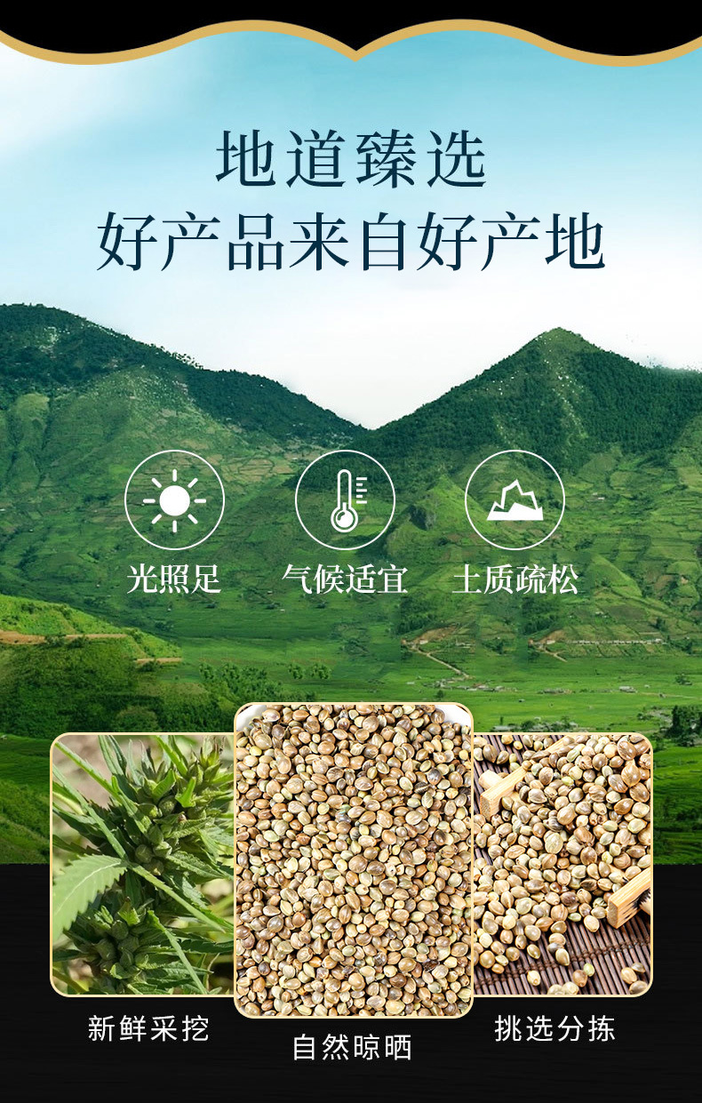 Huo Ma Ren (Cannabis sativa Seed) — Dried Food-Herb Seed for Tea, Congee & Baking overview