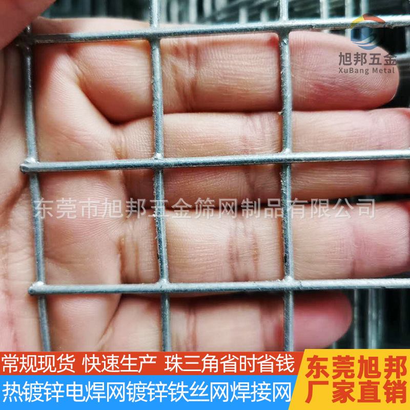 厂家可定制热镀锌电焊网墙体防裂电焊网圈玉米铁丝网建筑保温网