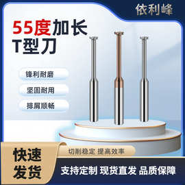 依利峰55度钨钢加长T型铣刀钢用铝用整体合金T型槽刀数控CNC加工