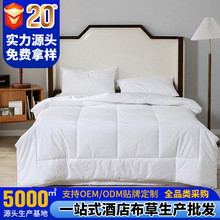 五星级酒店全棉防羽布被芯四季被酒店床上用品双人被芯夏被春秋被