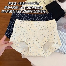 爆款纯棉内裤女全棉10A加长裆女生胖mm大码亲肤女士平角裤夏薄款
