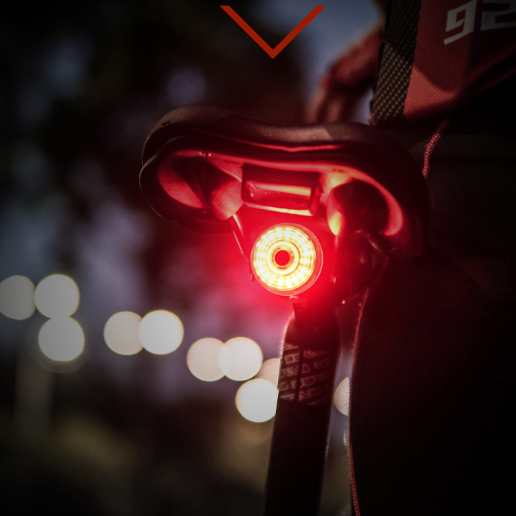 Freno de la bicicleta luz trasera Super brillante inteligente lámpara LED recargable al aire libre conducción nocturna equipo advertencia
