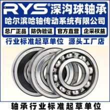 RYS ���ᴫ�� 62200 62201 62202 62203 62204 62205  2RZ