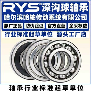 RYS ���S���� 6806 6807 6808 6809 6810 6811  2Z 2RZ