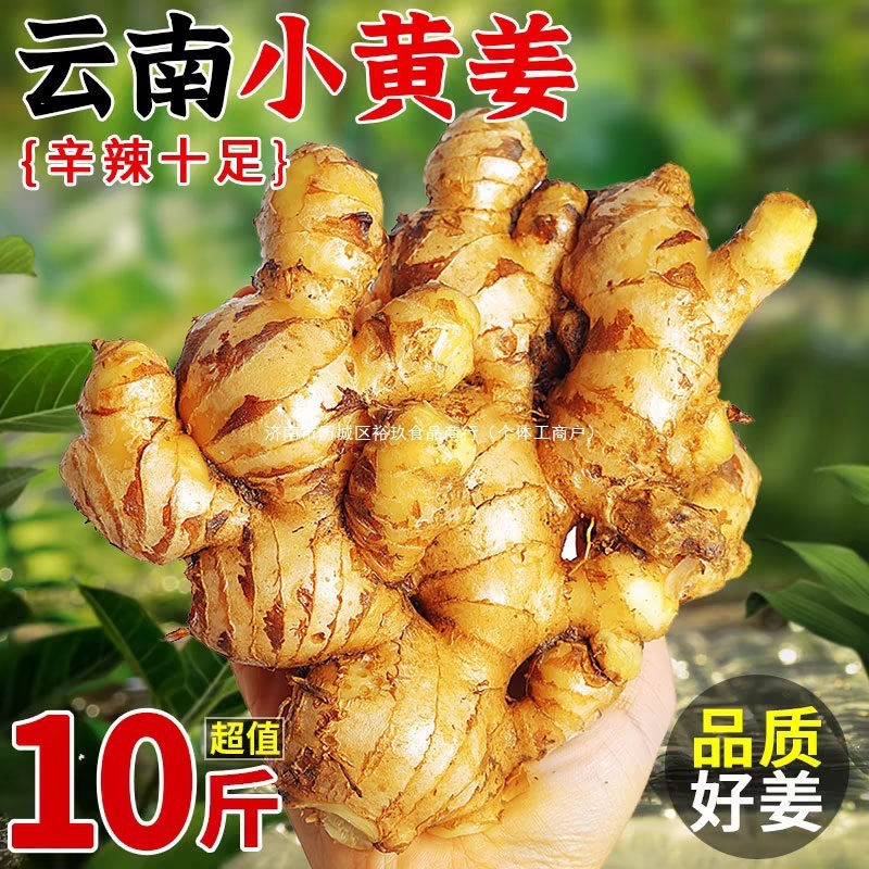 2025正宗云南小黄姜5斤新鲜生姜现挖高山沙姜老嫩姜土姜蔬菜包邮|undefined