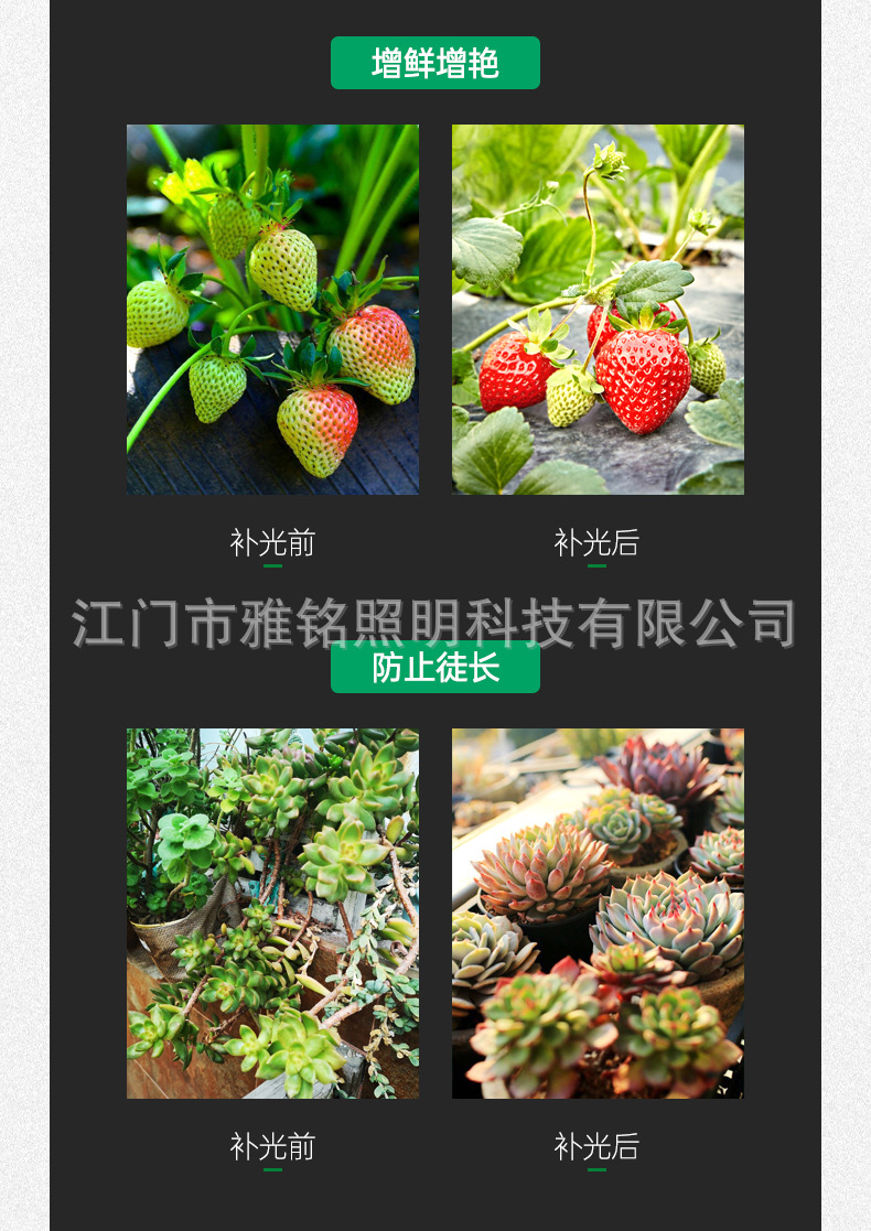详情_09